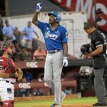 Tigres vencen 7-0 a Gigantes continuación béisbol profesional dominicano