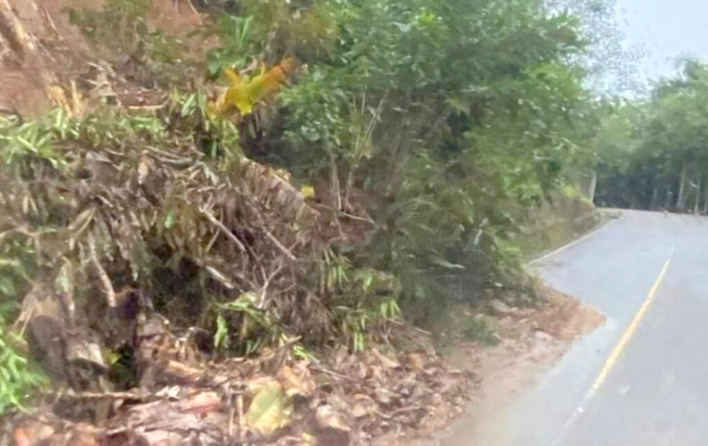 Derrumbe en carretera La Malena–El Guineal genera inconvenientes en el tránsito