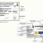 El 2025 es el año de la nueva cédula de identidad y electoral