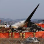 El informe preliminar sobre el avión siniestrado en Corea del Sur revela la presencia de plumas en los dos motores