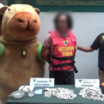 Un policía peruano se disfraza de la 'capibara del amor' para capturar a un traficante de droga