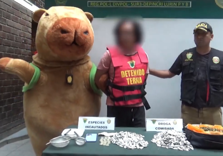 Un policía peruano se disfraza de la 'capibara del amor' para capturar a un traficante de droga