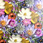 Pétalos y colores, el libro floral más bello editado en RD