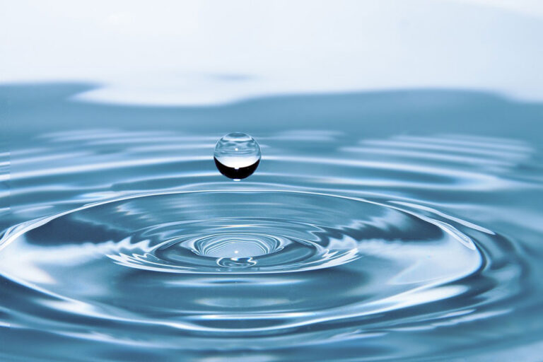 El agua como lección de vida