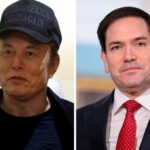 «No has despedido a nadie»: la bronca entre Musk y Rubio, con Trump de espectador