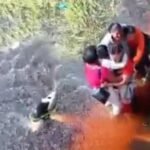 Cinco personas sobreviven 36 horas en un pantano rodeados de caimanes tras un accidente de avioneta