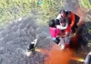 Cinco personas sobreviven 36 horas en un pantano rodeados de caimanes tras un accidente de avioneta