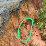 Lluvias causan deslizamientos de tierra en Naranjo Dulce, San Francisco de Macorís; piden ayuda urgente