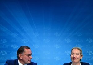 AfD demanda a la agencia de Inteligencia alemana por etiquetarla de «extremista»