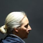 La extrema derecha alemana comienza a caer en las encuestas