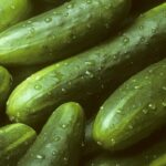 En varios estados USA retiran pepinos por brote Salmonera; Nueva York entre ellos
